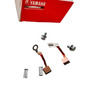 JUEGO DE CARBONES FZ 2.0 Y FZ 16