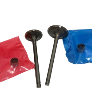 Juego De Válvulas Para Yamaha Fz 25, No Chinas